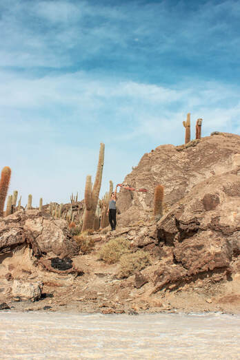 Cactus Island Bolivia Salt Flats 